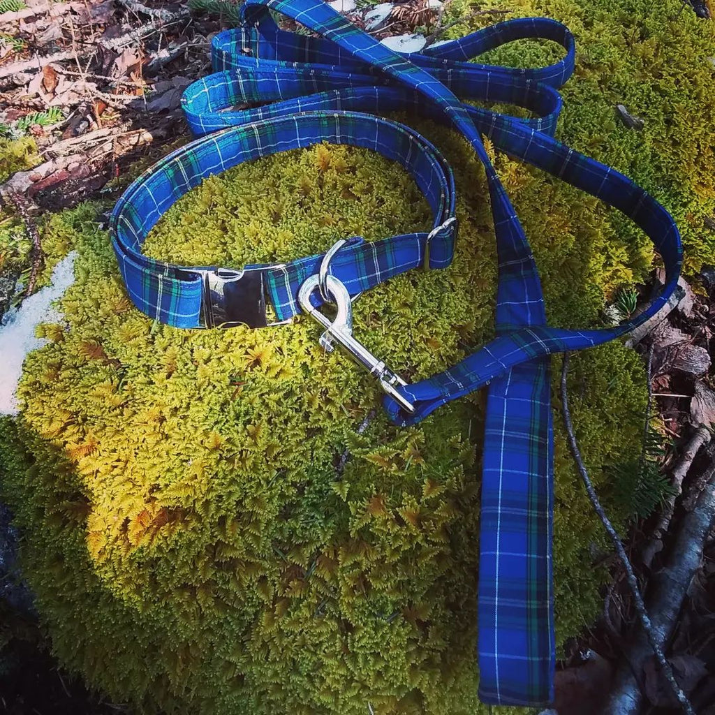 Dog Leash~Clan & Speciality Tartan
